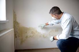 Biohazard Mold Removal in Fruitridge Pocket, CA